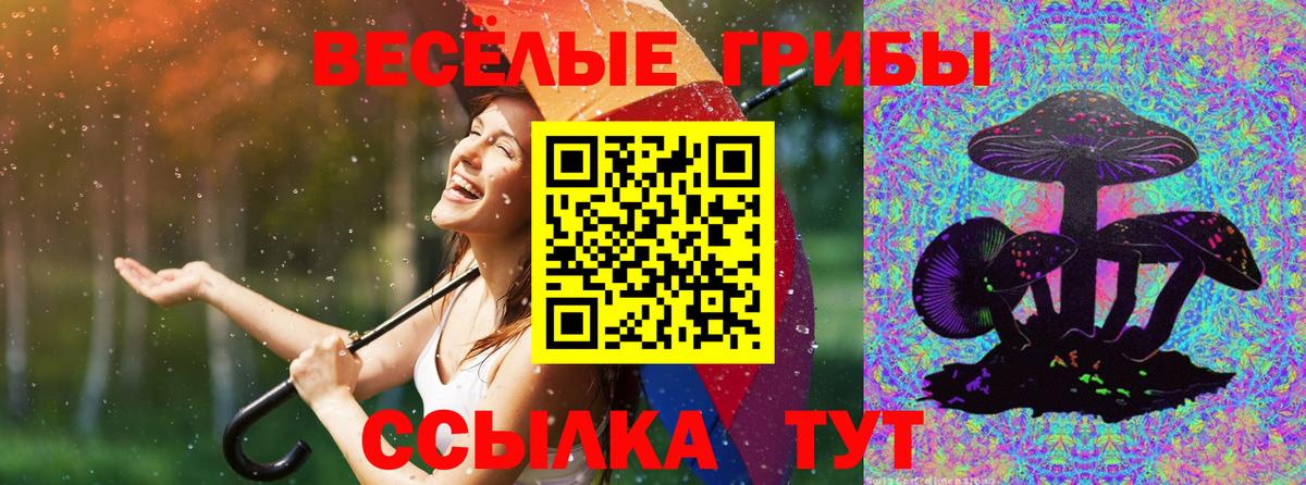 Каменск-Шахтинский  Псилоцибиновые грибы MAGIC MUSHROOMS  Галлюциногенные грибы мухоморы  Вход с VPN 